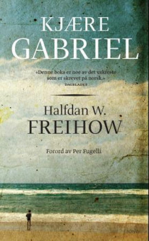 Kjære Gabriel av Halfdan W. Freihow (Heftet)