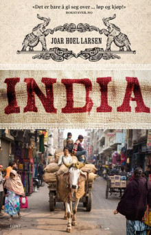 India av Joar Hoel Larsen (Heftet)
