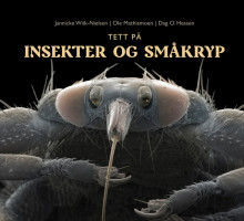 Tett på insekter og småkryp av Jannicke Wiik-Nielsen, Dag O. Hessen og Ole Mathismoen (Innbundet)
